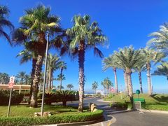 -迪拜帆船酒店海底餐厅