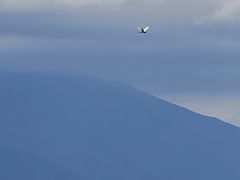 -大理洱海