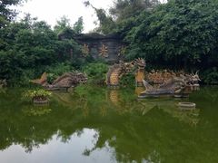 门面-湖光岩风景区