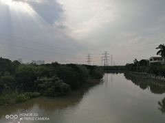 -小洲村