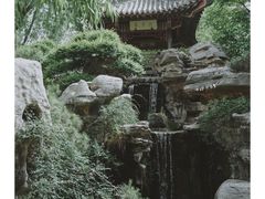 -趵突泉景区