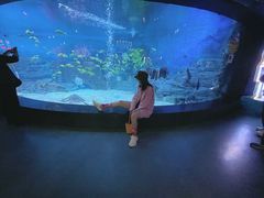 -烟台海昌鲸鲨海洋公园