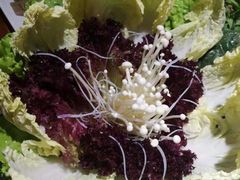 -井格重庆火锅(新世纪店)