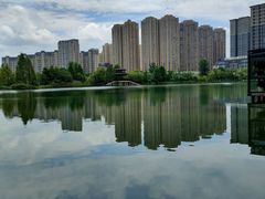 -洋湖国家湿地公园