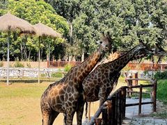 -北京野生动物园