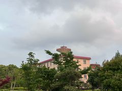 -上海财经大学(国定路校区)
