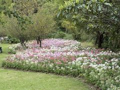 -上海滨江森林公园