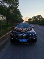 -蚂蚁婚车