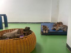 -北京野生动物园