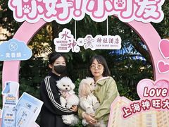 -上海神旺大酒店