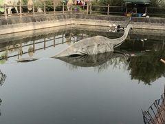 -盛世牡丹苑生态文化旅游区