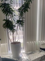-杭州奥拉克医疗美容门诊部