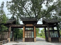 -溱湖国家湿地公园