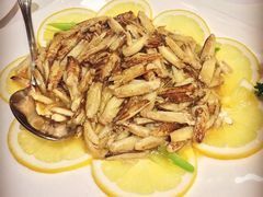 -新花城蟹粉馆(乌鲁木齐店)