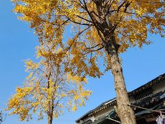-山塘街