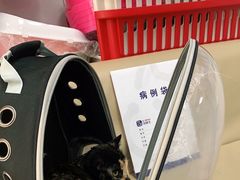 -宠颐生中康贝怡动物医院