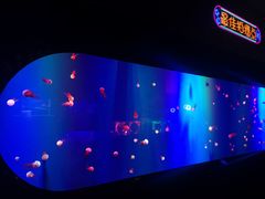 -成都浩海立方海洋公园