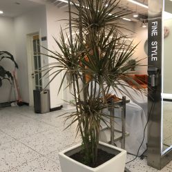 -FINE HAIR造型沙龙