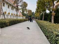 -洛阳白马寺