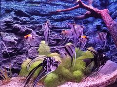 -上海海洋水族馆