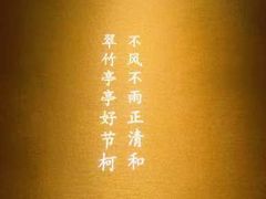 -泰古龙·三太子泰式Spa抓龙筋(太原街店)