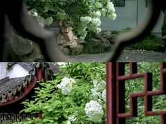 -苏州园林博物馆