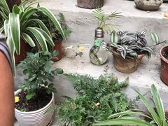 -老味道(田子坊店)