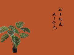 -成都你六姐·牛肉冒菜(城市集市合生汇店)