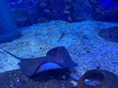 -海合安武汉极地海洋公园