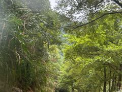 -雅鲁激流探险漂流