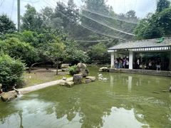 -黔灵山公园