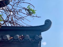 -午潮山国家森林公园