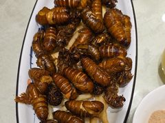 -海派美食·家宴海鲜青岛菜·石锅鲽鱼头(东方城店)
