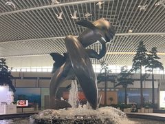 -青岛胶东国际机场