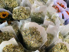 -循礼门鲜花花市(武汉循礼门店)