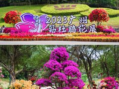 -广州市白云山风景名胜区