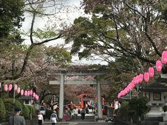 -富士山本宫浅间大社