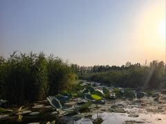 -白洋淀景区