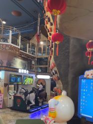 -卡通尼·Safari非洲探索乐园·生日会(金桥国际商业广场店)