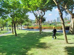 -野狸岛