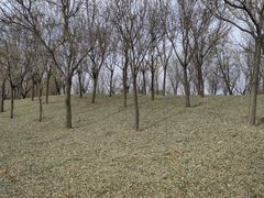 -马家湾湿地公园