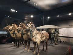 -秦始皇帝陵博物院-丽山园
