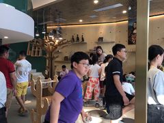 -飞行喵MR PILOT|猫舍·猫咖(静安大融城店)