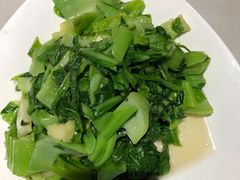 芥菜-华盛丰温州大排档(东三环南路店)