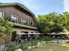 -吴淞炮台湾湿地森林公园烧烤区