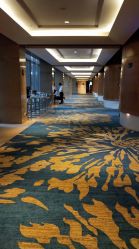 -上海浦东喜来登由由大酒店·宴会厅