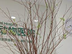 -悦宠凯宝动物医院·牙科·皮肤科(朝阳北路店)
