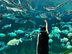 -波塞冬旅游度假区