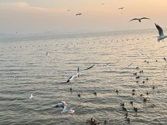 -深圳湾公园(南山区)