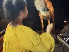 -清迈夜间动物园